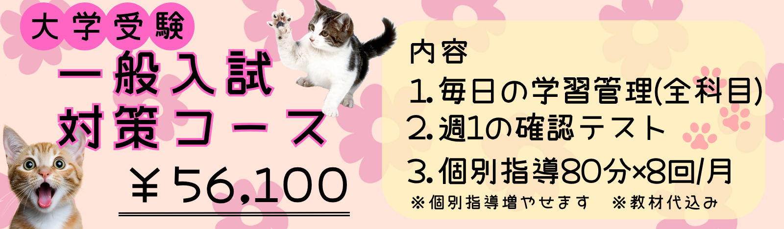 大学受験一般入試対策コース